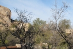 Arizona-Nevada-Trip-March-2013 - 004