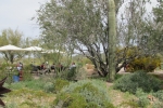 Arizona-Nevada-Trip-March-2013 - 035