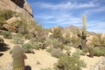Arizona-Nevada-Trip-March-2013 - 100