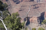 Arizona-Nevada-Trip-March-2013 - 270