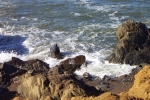 California-Trip-November-2004 - 136