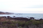 California-Cambria-Trip-November-2004 - 02