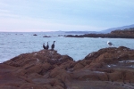 California-Cambria-Trip-November-2004 - 25