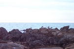 California-Cambria-Trip-November-2004 - 36