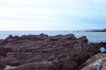 California-Cambria-Trip-November-2004 - 40