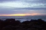 California-Cambria-Trip-November-2004 - 48