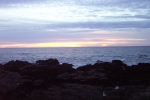 California-Cambria-Trip-November-2004 - 49