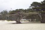 California-Carmel-Trip-November-2004 - 32