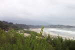 California-Carmel-Trip-November-2004 - 37