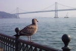 California-San Francisco-Trip-November-2004 - 060