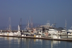 California-San Francisco-Trip-November-2004 - 106