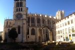 France-London-2014-1079