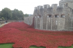 France-London-2014-1240