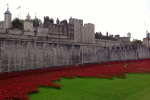France-London-2014-1247