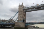 France-London-2014-1377