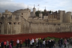France-London-2014-1394