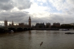 France-London-2014-1450