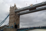 France-London-2014-1461