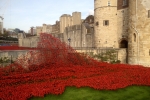 France-London-2014-1467