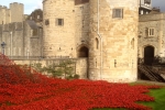 France-London-2014-1468