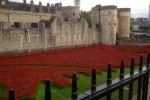 France-London-2014-1470