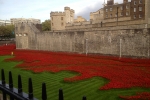 France-London-2014-1471