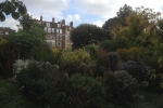France-London-2014-1484