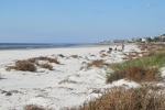 Fripp-Island-Trip-October-2011 - 015