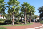 Fripp-Island-Trip-October-2011 - 023