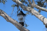 Fripp-Island-Trip-October-2011 - 029