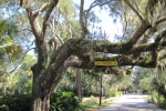 Fripp-Island-Trip-October-2011 - 051