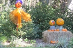 Fripp-Island-Trip-October-2011 - 064