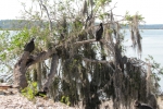 Fripp-Island-Trip-October-2011 - 074