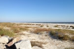 Fripp-Island-Trip-October-2011 - 081