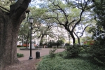 Fripp-Island-Trip-October-2011 - 099