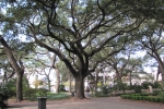 Fripp-Island-Trip-October-2011 - 100
