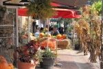 Fripp-Island-Trip-October-2011 - 119