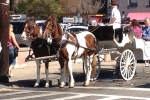 Fripp-Island-Trip-October-2011 - 144