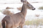 Fripp-Island-Trip-October-2011 - 162