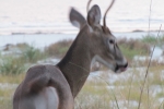 Fripp-Island-Trip-October-2011 - 164