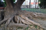 italy-sicily-october-10105
