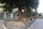 italy-sicily-october-10106