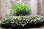 italy-sicily-october-10262