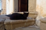 italy-sicily-october-10539