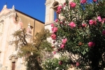 italy-sicily-october-10661