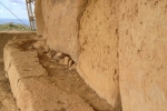 italy-sicily-october-10985