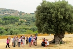italy-sicily-october-11157