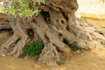 italy-sicily-october-11162