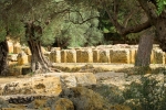 italy-sicily-october-11198