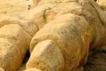 italy-sicily-october-11206